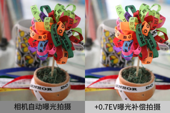 相機自動曝光有時候不能獲得理想亮度。這時候可以使用曝光補償。